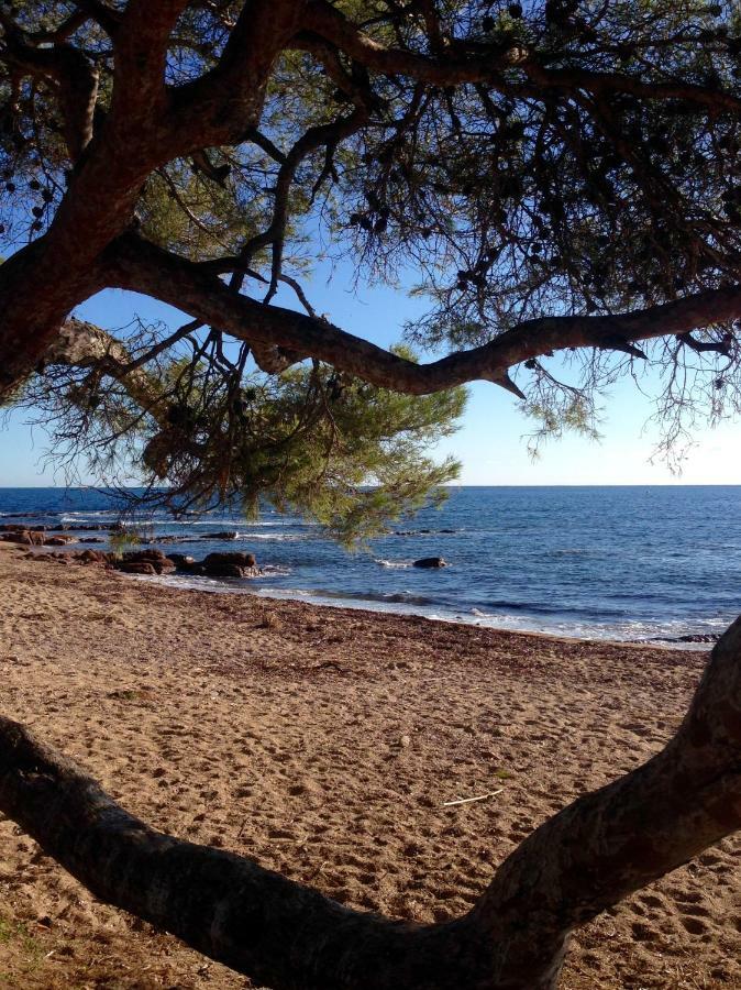 Coeur De Frejus, L'Amphitheatre, Appartement 3 Pieces Climatise, Terrasse, Barbecue, Piscine & Parking Luaran gambar